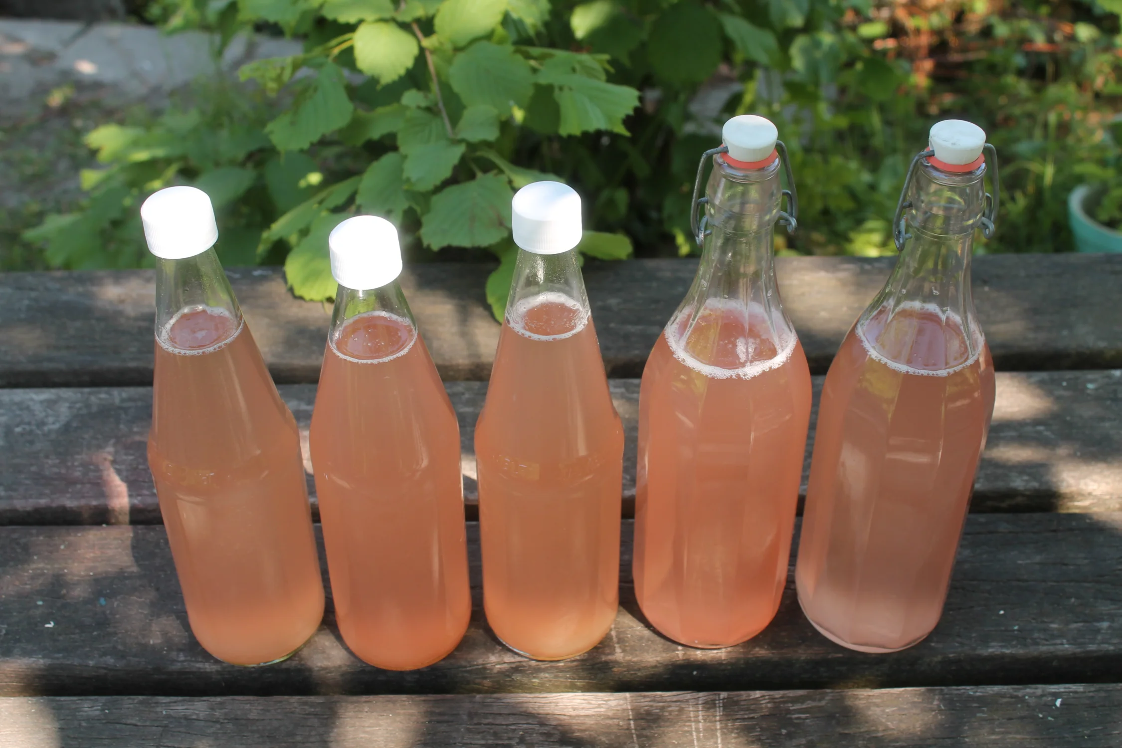 wild geferment drankjes